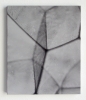Bulles III, 2008 17,5 x 29 cm