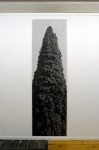 tirage baryté, 190 x 59,6 cm