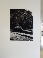 Monotype 125 x 95 cm