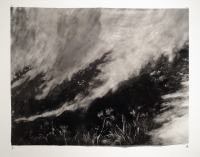 Monotype, 86 x 114 cm