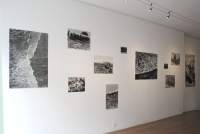 monotypes, formats divers