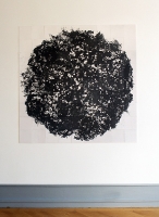 81 tirages argentiques, 154x154 cm