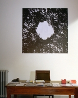 81 tirages argentiques, 154x154 cm